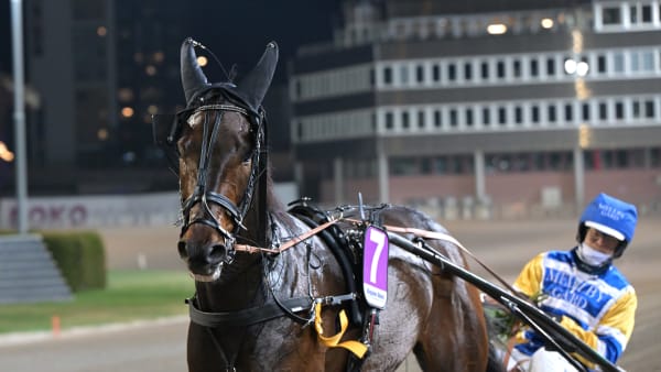 Foto: LARS JAKOBSSON / TR BILD