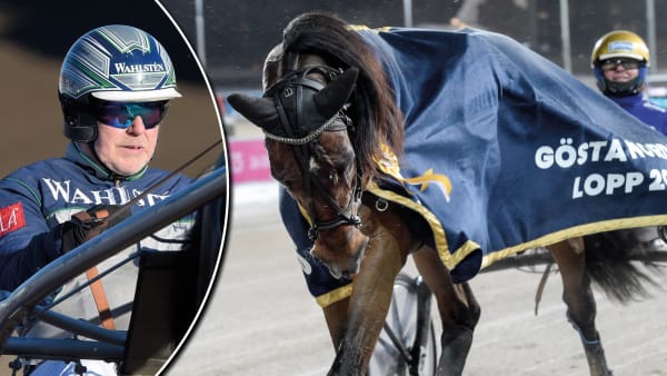 Foto: Lars Jakobsson/TR Bild/Montage