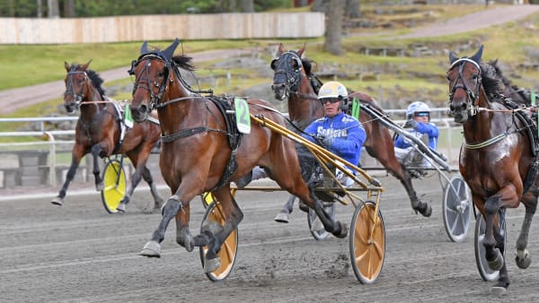 Foto: MALIN ALBINSSON / TR BILD