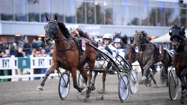 Foto: MALIN ALBINSSON / TR BILD