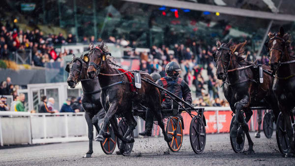 Foto: ALEX ZONA/TROTTEUR FRANCAIS