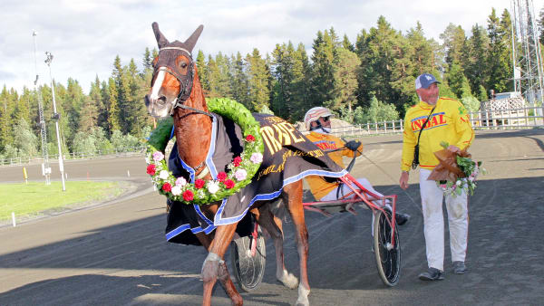 Foto: TOM JÖNEHAG