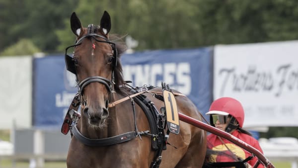 Foto: LENA EMMOTH / TR BILD