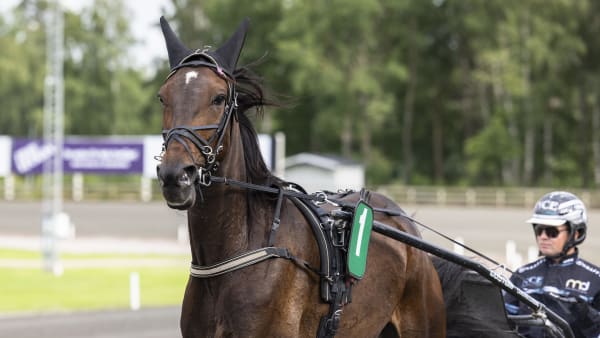 Foto: LENA EMMOTH/TR BILD