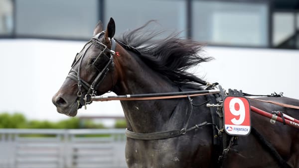 Foto: LARS JAKOBSSON / TR BILD