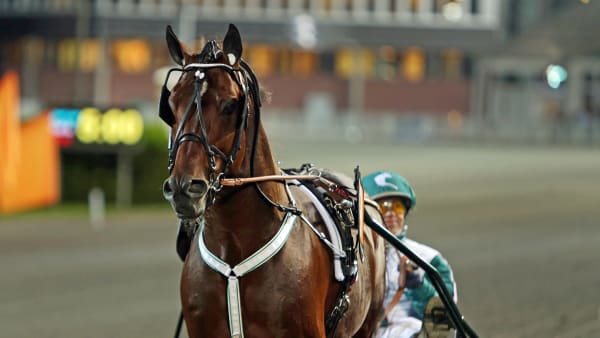 Foto: MATILDA ÖHRMAN / TR BILD