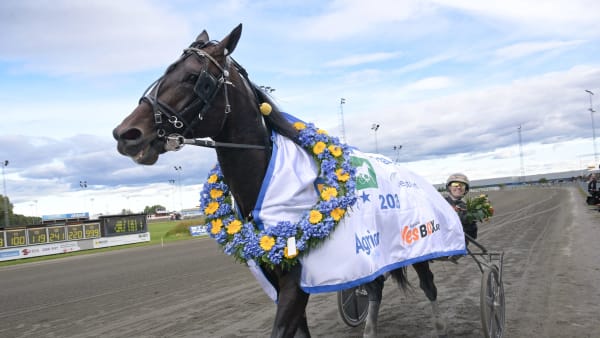 Foto: LARS JAKOBSSON / TR BILD