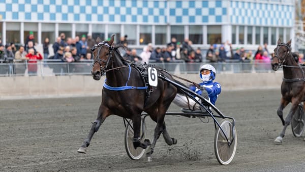 Foto: LENA EMMOTH / TR BILD