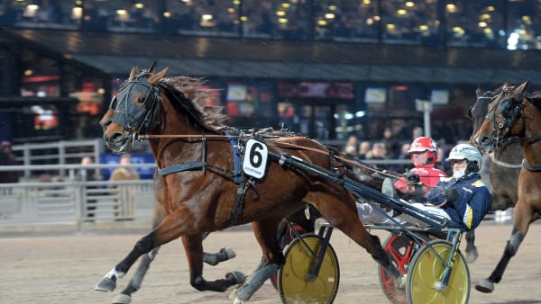 Foto: LARS JAKOBSSON / TR BILD