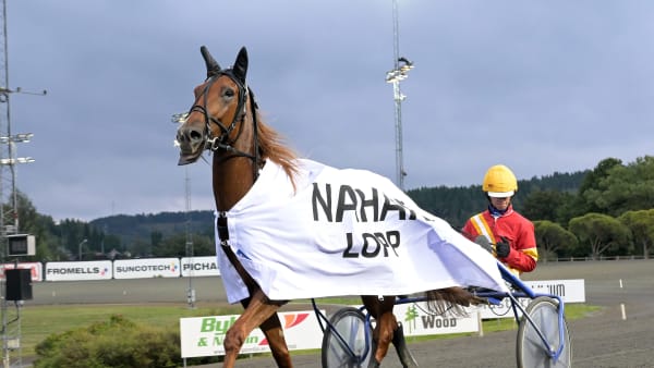 Foto: LARS JAKOBSSON / TR BILD