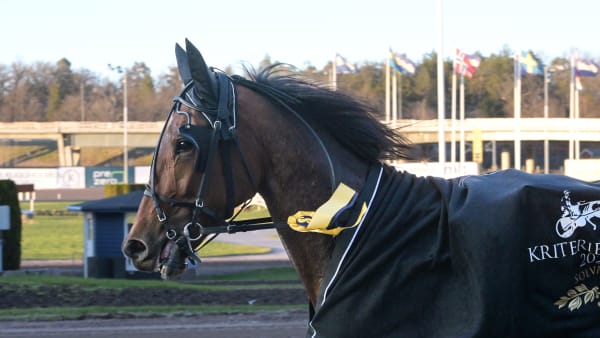 Foto: LARS JAKOBSSON / TR BILD