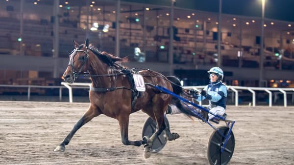 Foto: MIKAEL ROSENQUIST / TR BILD