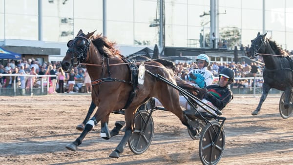 Foto: MIKAEL ROSENQUIST / TR BILD