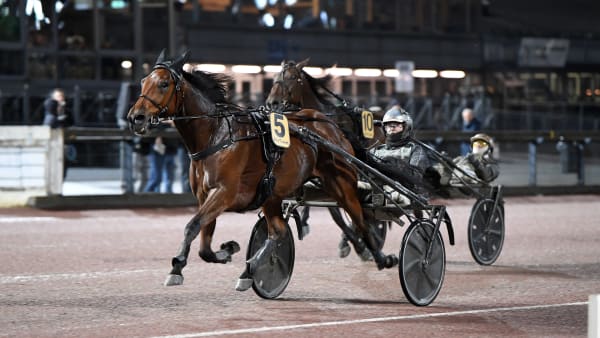 Foto: MALIN ALBINSSON / TR BILD