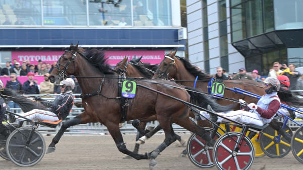 Foto: LARS JAKOBSSON / TR BILD