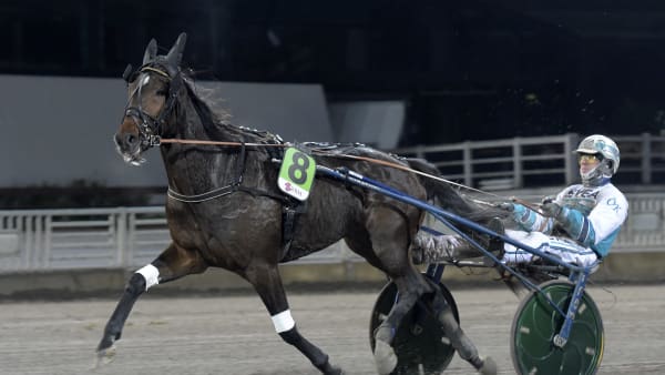 Foto: LARS JAKOBSSON / TR BILD