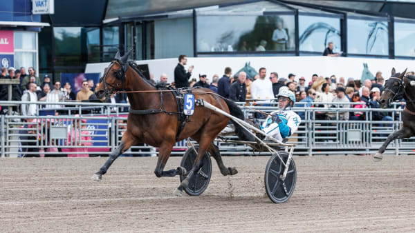 Foto: LENA EMMOTH / TR BILD