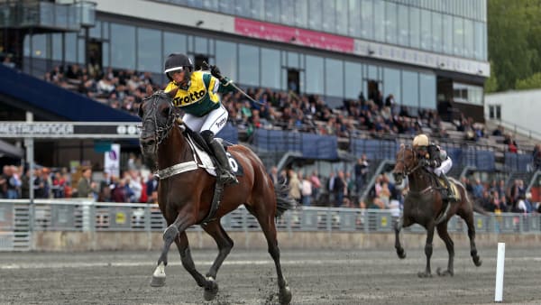 Foto: MATILDA ÖHRMAN / TR BILD