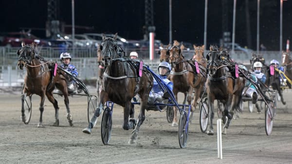 Foto: LARS JAKOBSSON / TR BILD