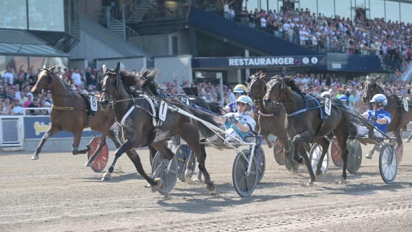 Foto: LARS JAKOBSSON/TR BILD