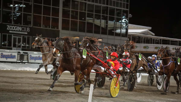 Foto: DAVID SCHREINER / TR BILD