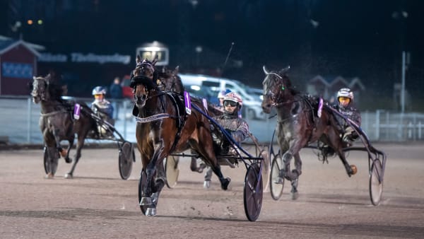 Foto: MIKAEL ROSENQUIST/TR BILD