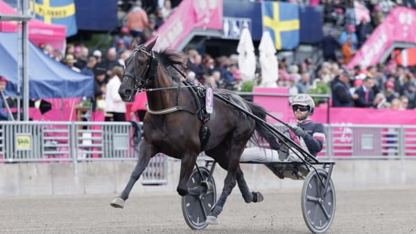 Foto: LENA EMMOTH / TR BILD