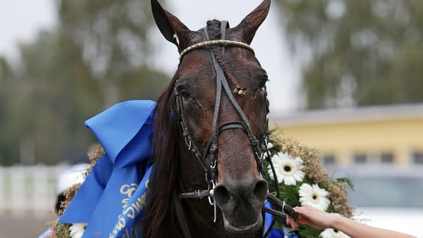 Foto: MATILDA ÖHRMAN / TR BILD