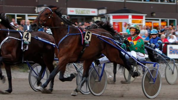 Foto: DAN HÄLLGREN/ALN