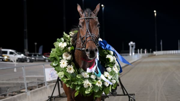 Foto: LARS JAKOBSSON/TR BILD