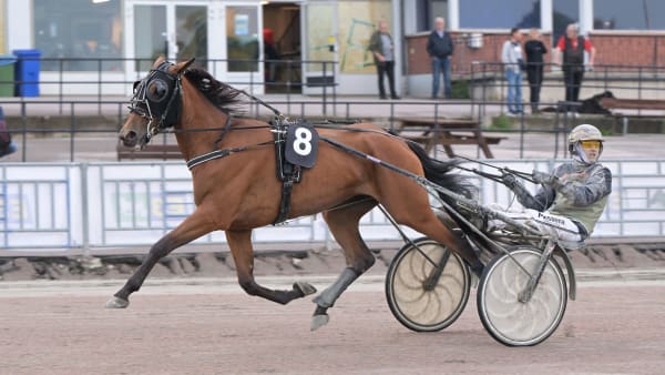 Foto: LARS JAKOBSSON / TR BILD