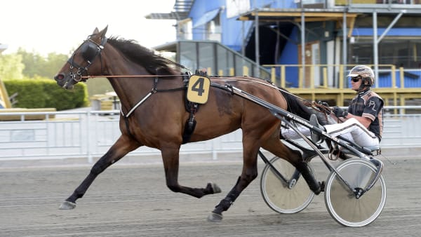 Foto: LARS JAKOBSSON / TR BILD