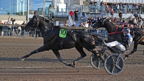 Foto: MALIN ALBINSSON / TR BILD