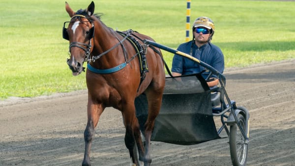 Foto: Thomas Blomqvist/TR Bild