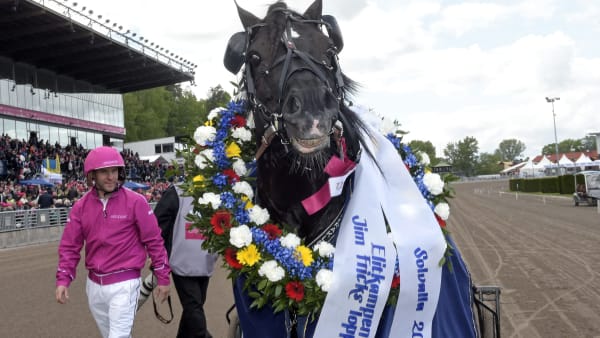 Foto: LARS JAKOBSSON / TR BILD