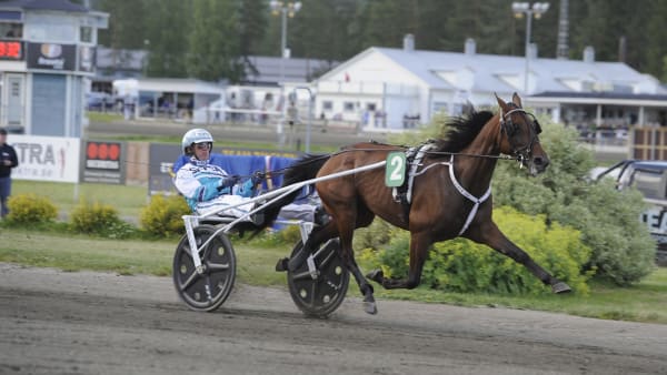 Foto: CHRISTER NORIN/ALN