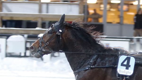 Foto: MICKE GUSTAFSSON/ALN