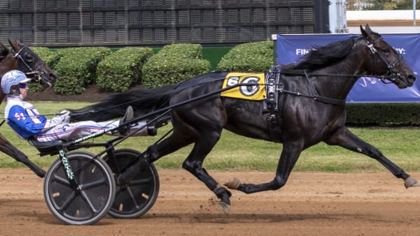 Foto: Amanda Stephens