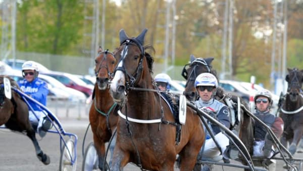 Foto: MARTIN LANGELS/ALN