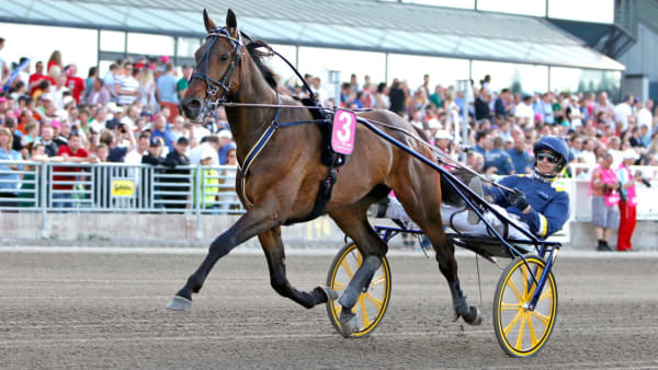 Foto: MARIA HOLMÉN/TRAVRONDEN