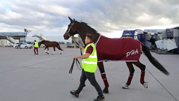 Foto: Maria Holmén/TR BILD