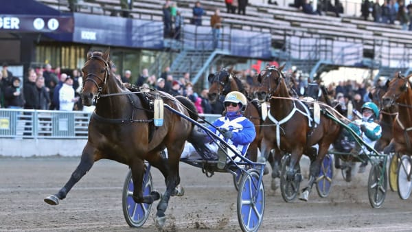 Foto: MARIA HOLMÉN / TR BILD