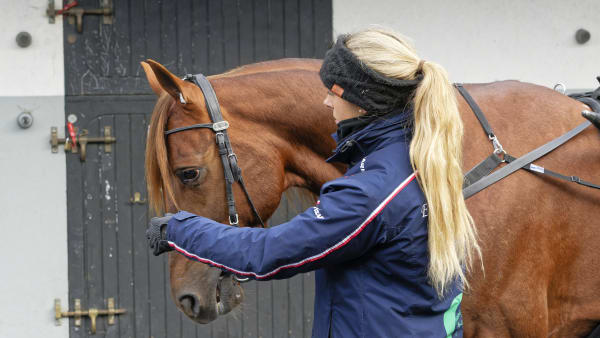 Foto: JEAN-LUC LAMAÈRE/TR BILD