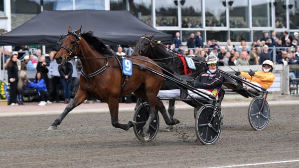 Foto: MALIN ALBINSSON / TR BILD