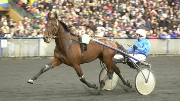 Foto: Thomas Blomqvist/Kanal75