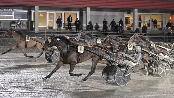 Foto: JENNY REHNMAN / TR BILD