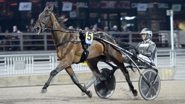 Foto: LARS JAKOBSSON / TR BILD