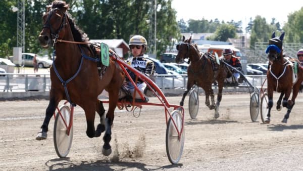 Foto: THOMAS GUSTAFSSON/ALN