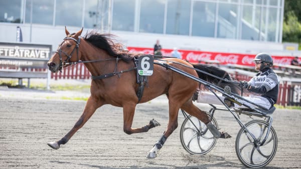 Foto: Ellen Karlsson