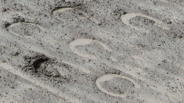 Foto: CHARLOTTE HÄGG